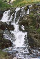 Ridonjira
