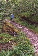 The old road